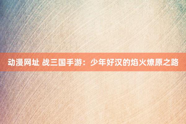 动漫网址 战三国手游:少年好汉的焰火燎原之路