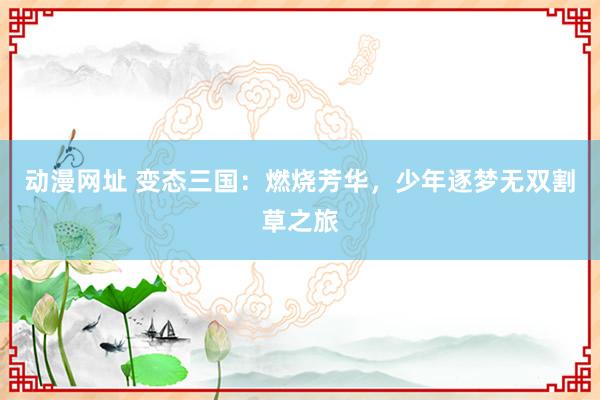 动漫网址 变态三国:燃烧芳华,少年逐梦无双割草之旅