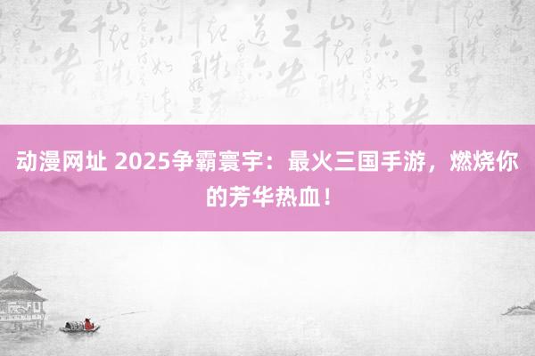 动漫网址 2025争霸寰宇:最火三国手游,燃烧你的芳华热血!