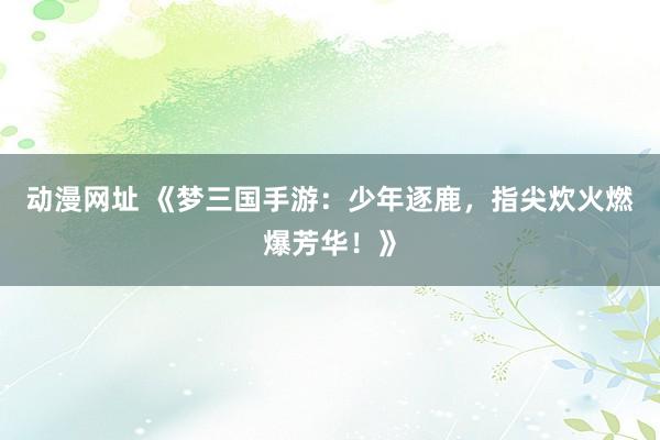 动漫网址 《梦三国手游：少年逐鹿，指尖炊火燃爆芳华！》