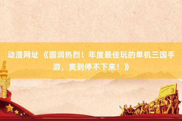 动漫网址 《圆润热烈！年度最佳玩的单机三国手游，爽到停不下来！》