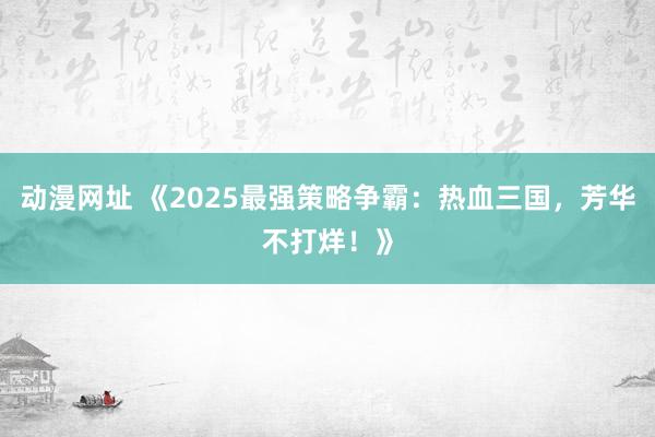 动漫网址 《2025最强策略争霸：热血三国，芳华不打烊！》